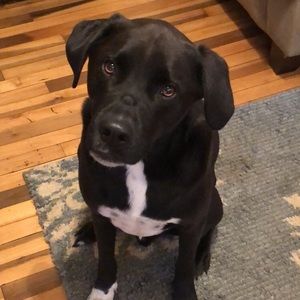 Meet your Posher, Kate